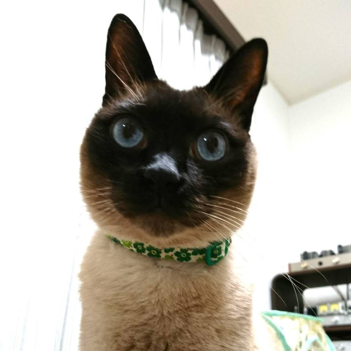 0083e5db 85d0 49f1 93bd 42da5301ba47 1523832339823