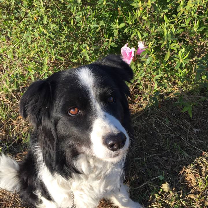 00843976 0a3f 46ba 9a79 04d6f9b2f90f 1585089081916