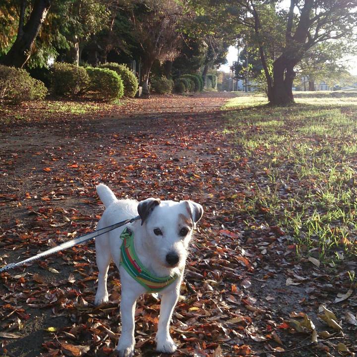 008440bd 98b1 47ee a1ce f8c7de02e7c7 1511305944346