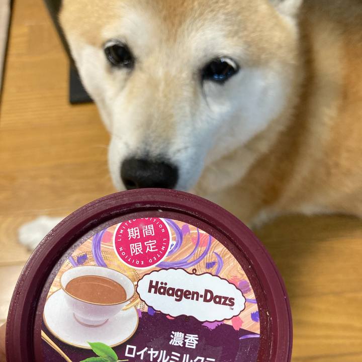 00845342 7213 4ae8 b5d6 135fb0025f6d 1624618687909