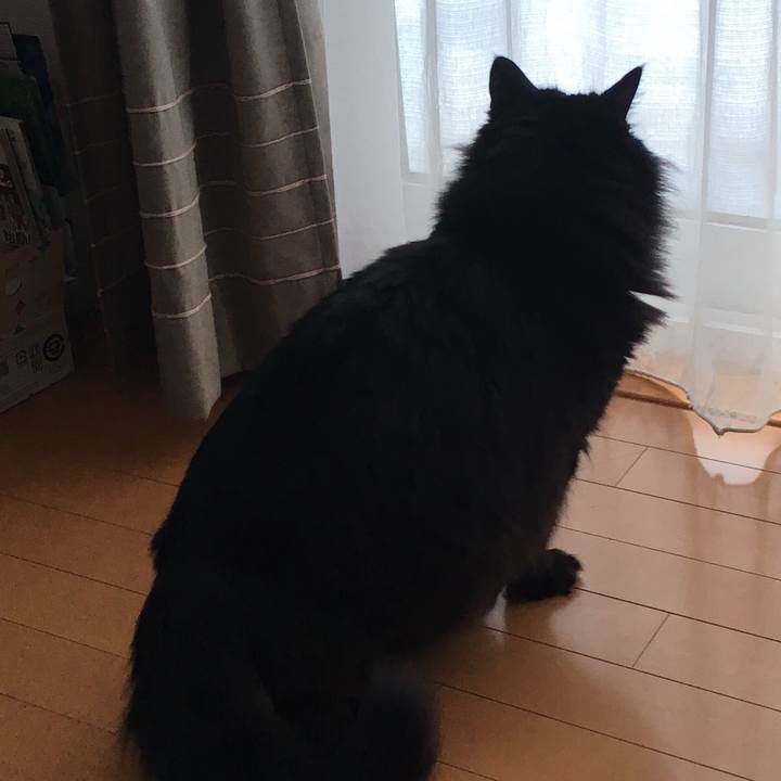 00846fa5 f569 4c85 8d75 a6ee62dc2d9c 1549710032392