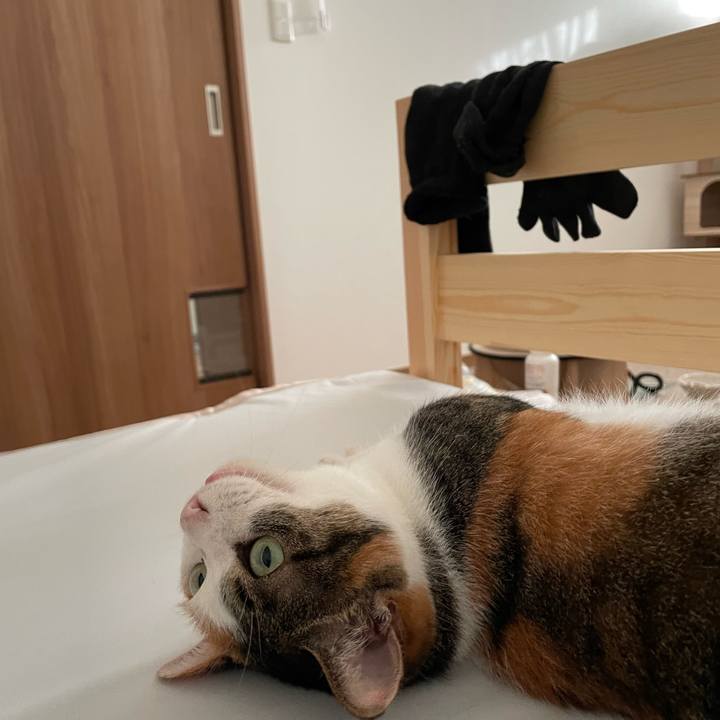 00848ab8 11c7 41d4 8eff 6cbf80e06e92 1662277065238