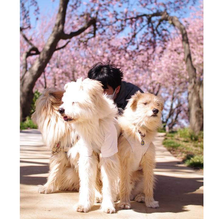 00849ac1 8c33 4af2 886f a1e1fce39a00 1555147033450