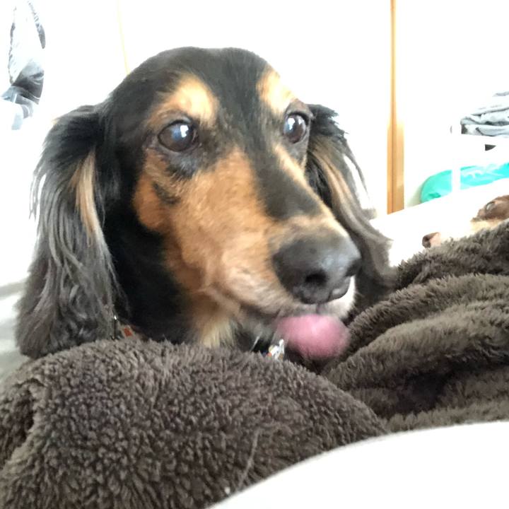 0084d351 15a0 4265 b344 bba6e1611802 1569116459698