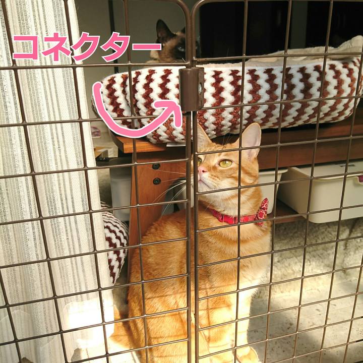 0084f1ce 2c93 4ea8 8c21 cabeced92ce5 1561626253984