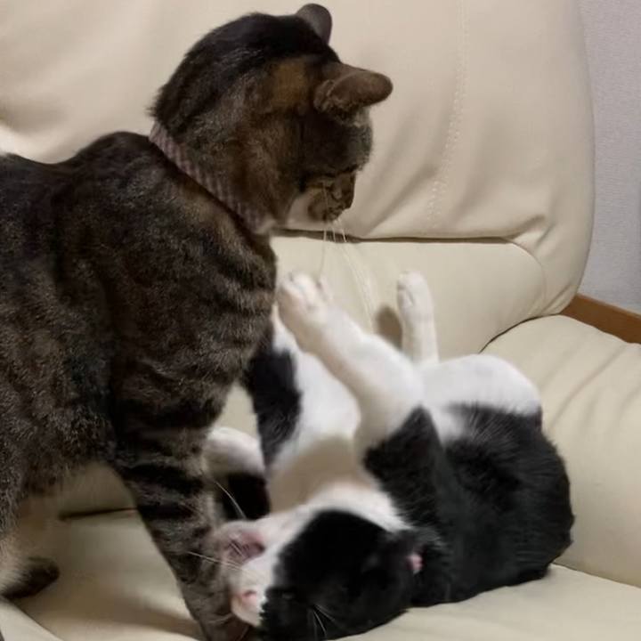 0084fc37 6cae 49e5 8393 d5bd3c981318 1636889790558