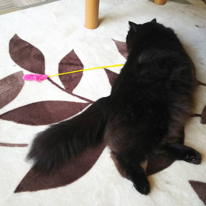 008578eb f4ac 44f3 a0fd 27f6d03f7bec 1559517446391