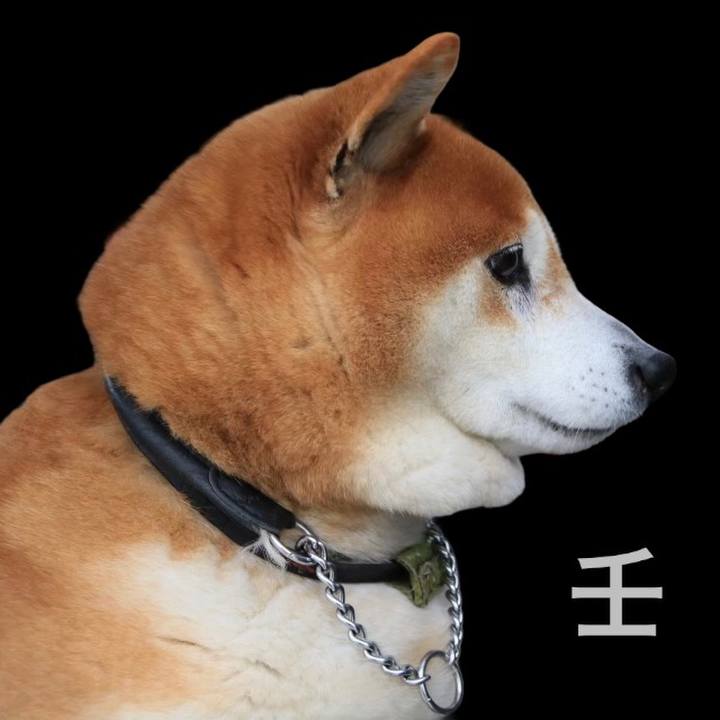 00858388 0b71 4109 8d46 abf4535840e4 1637917300406