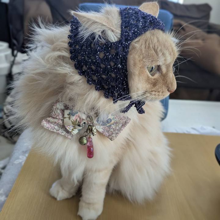 00859155 8126 4219 bc4a e9f824cd23fc 1772592308570