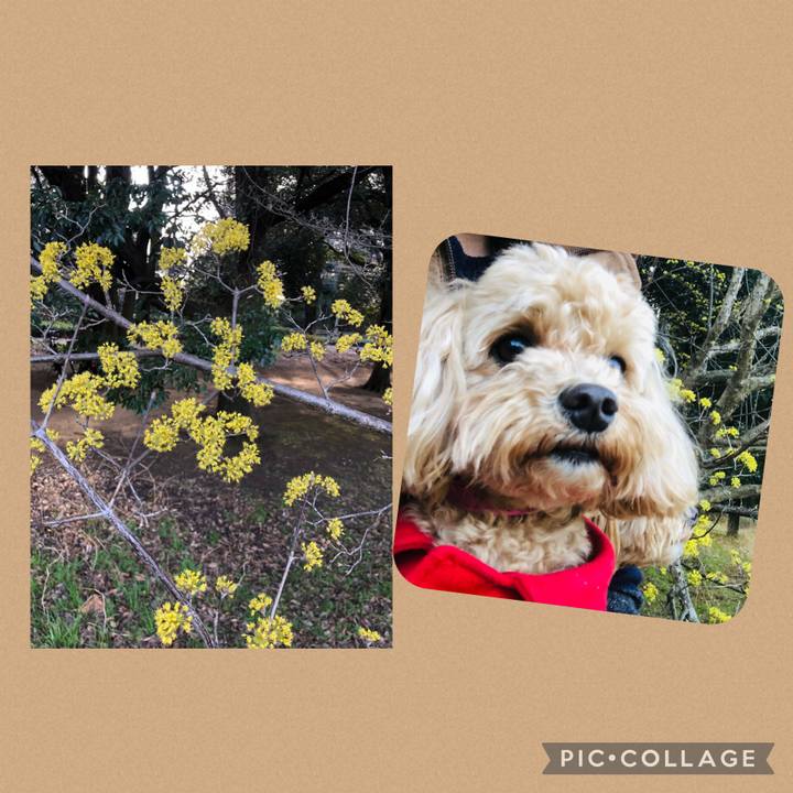 0085dcff 4ddd 4e29 af03 167f3ef1bf97 1677942629579