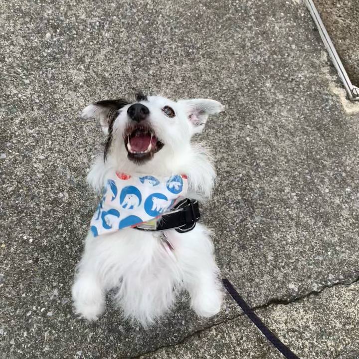 0085f7e2 22ee 4ef9 8478 39186615974a 1688200066553