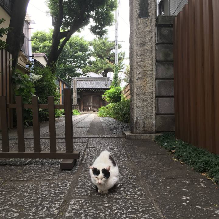 0085f9f7 f560 4a82 a69b 91311f36c088 1527398279372