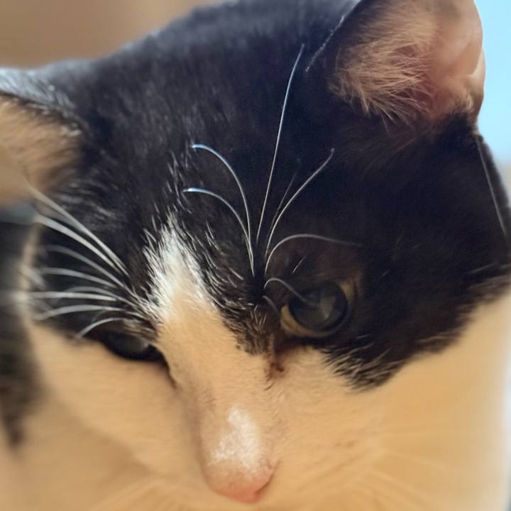 0085ff7e f3b8 4f45 a34a dcb333169662 1768008009322