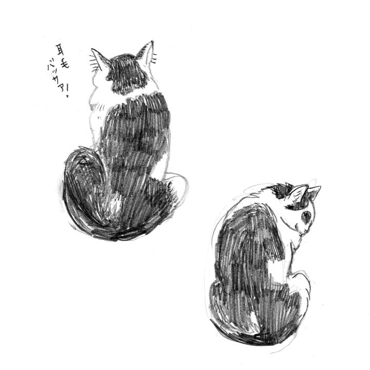 00864e3a f21b 4797 a483 cf47c2a4afe7 1529048974803