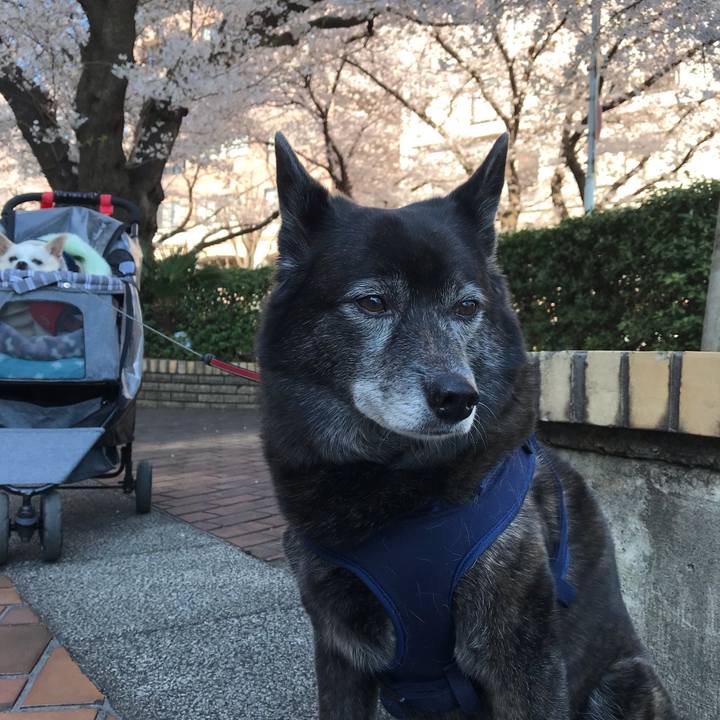 00866add eb95 4db6 aca3 9b1c7e477962 1554446728037