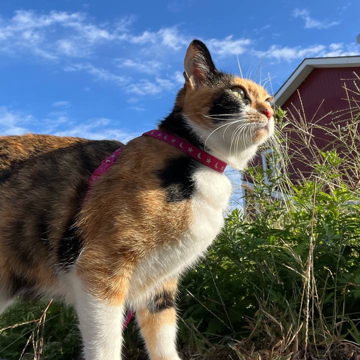 00867eee 4347 4af4 8cbc a399483330b1 1664406078550