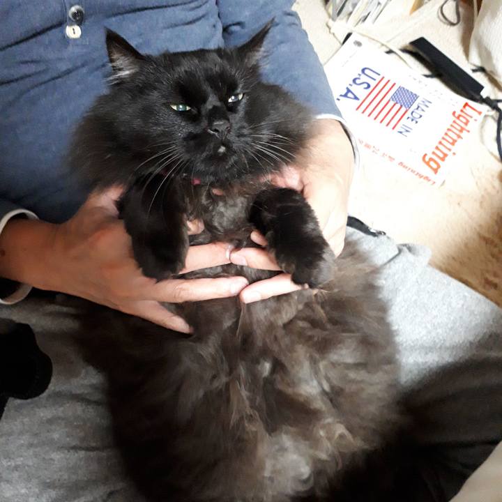 00869fed 8b00 4d84 98ec 5d760de8f242 1523098116482