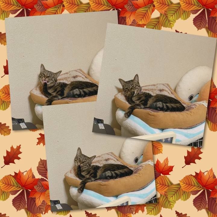 0086b91c 34e8 42e7 849e 4a0f96f3a5ba 1574441376318