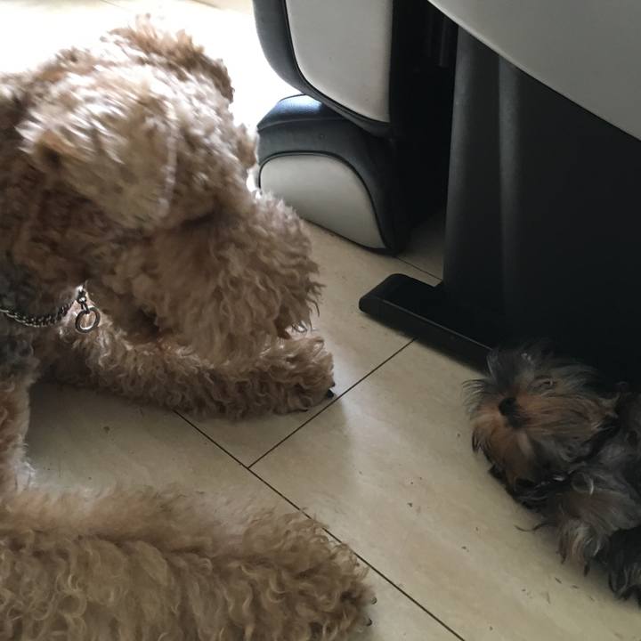 0086bc3f 251c 4e38 b73f d9b2faf3d6bc 1538623738480