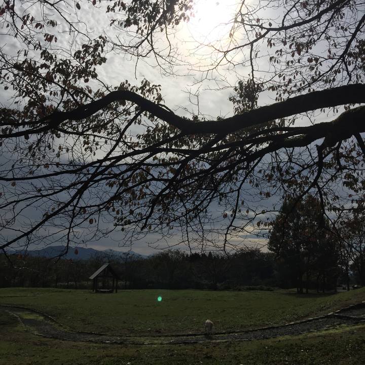 0086f103 7670 4d99 901d 4b9f9a52ac0b 1509502777245