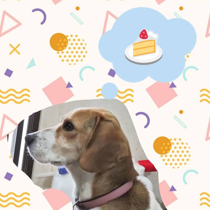 0087408e 9b8e 472c 8b31 21acccaa081a 1587544984062