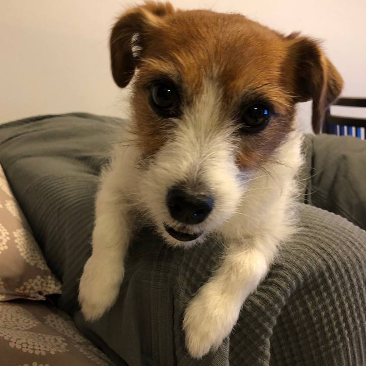 008758d2 9584 4d59 9a75 8e99005c0117 1590881956832