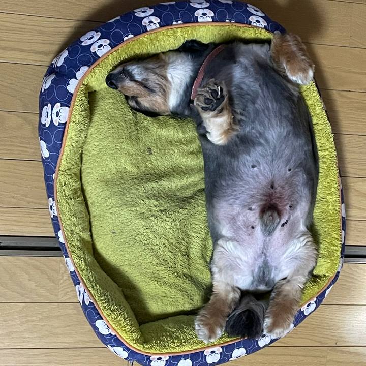 00875bda bdde 4668 a6f5 96f8f91b75f8 1656324998332