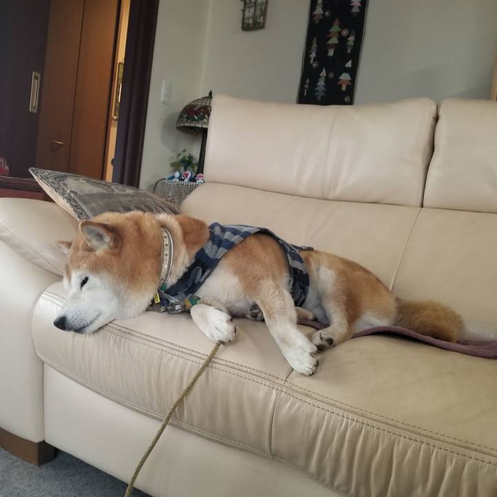 008769d5 d8de 4c67 bffc 1409d52f0317 1669935829323