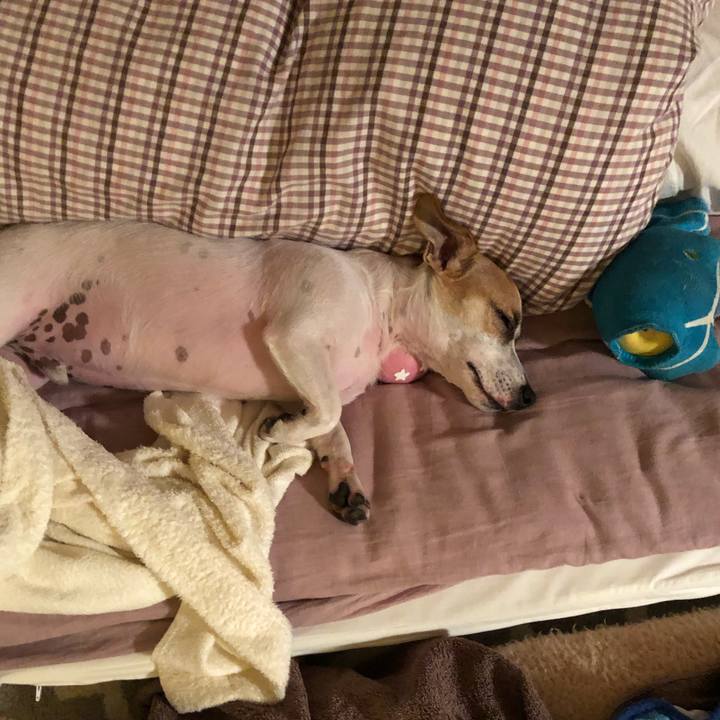 00879264 cb84 496e a6b4 6ef211cc73a7 1567607910438