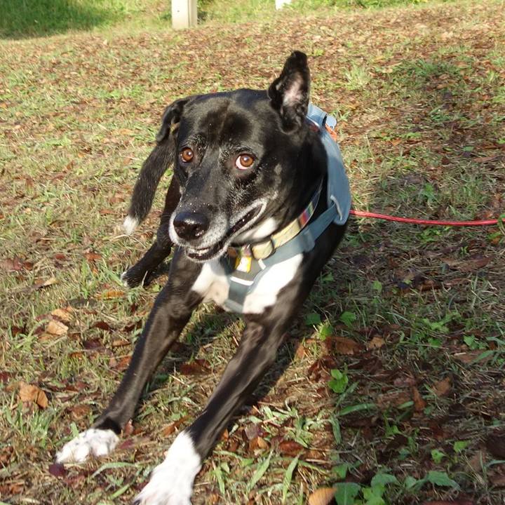 0087fe2a 01e9 4214 b514 d0195bdd2eff 1730680189754