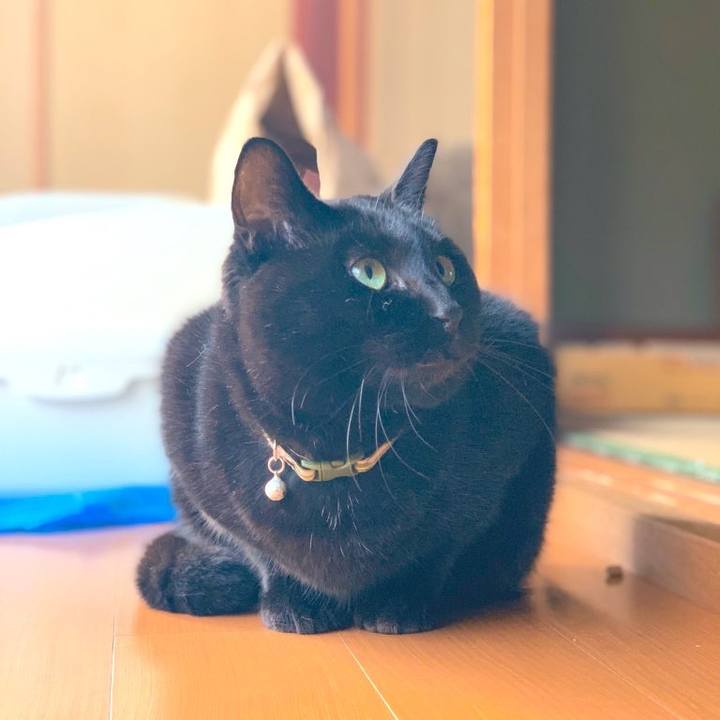 00880074 f5f0 4d1e 98cd 905ce88b352c 1579584292958