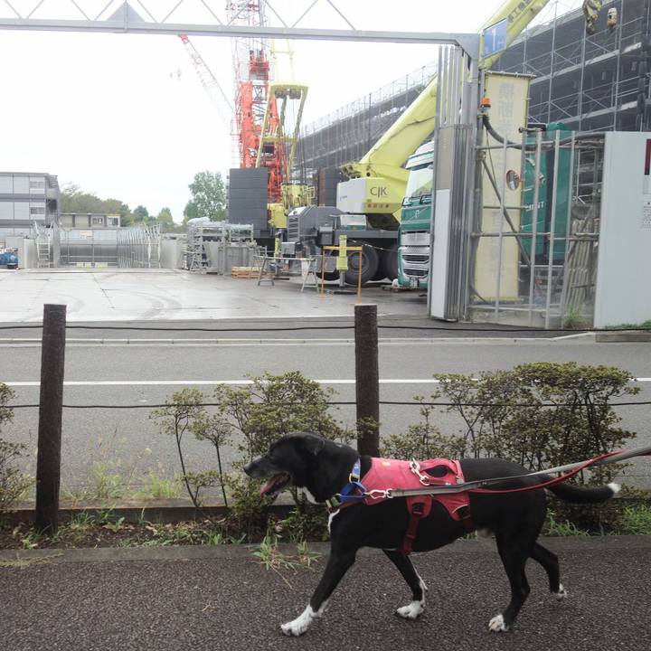 00882b1c e541 4029 8fdc c151c1349220 1693958418300