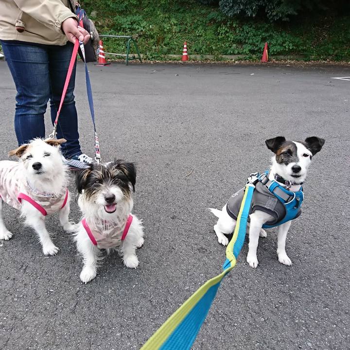 00883fb4 a08b 422f a75d bcb3fcbc8b46 1511312964487