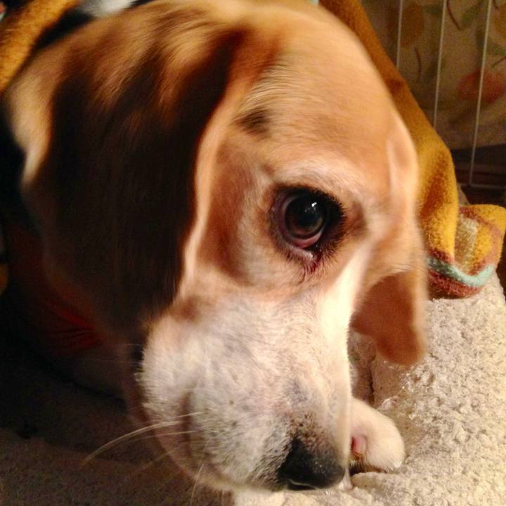 00886aa5 73a9 472c af60 d152363317fa 1745041602726