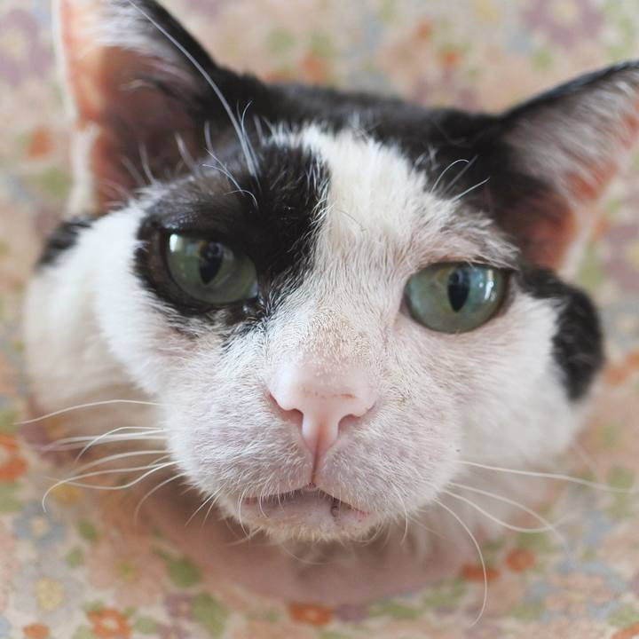 00889f1d 4cdc 4ebd b954 5b38fe3c8893 1649217938737