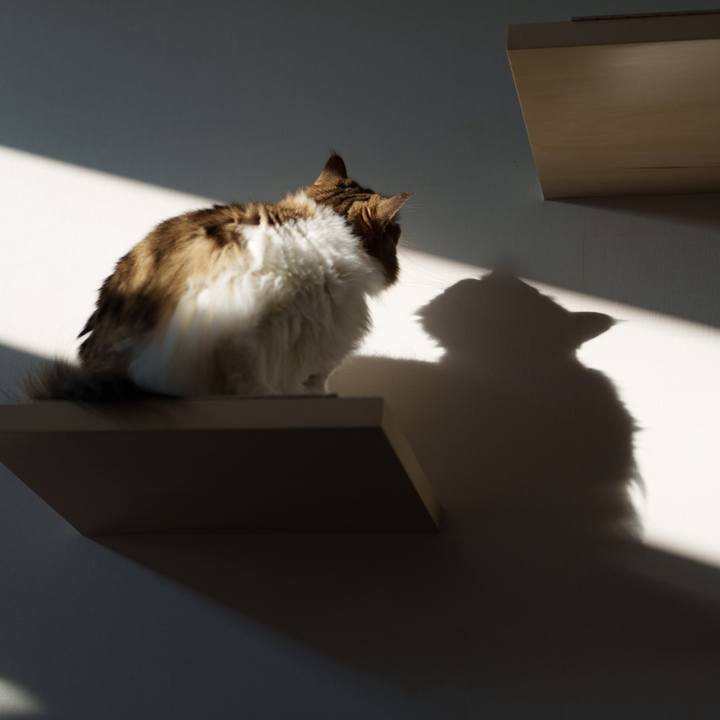 0088a29b 4ab1 467c a6ab ae869bacef62 1731051337375