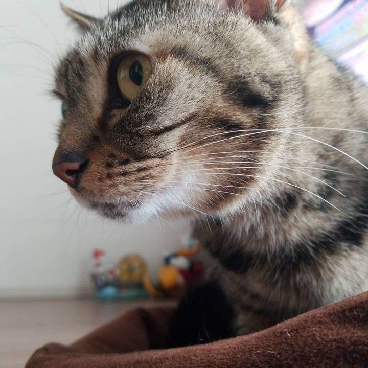 0088c2bf 0672 4e9b a315 936dc8a48eb1 1582329905829