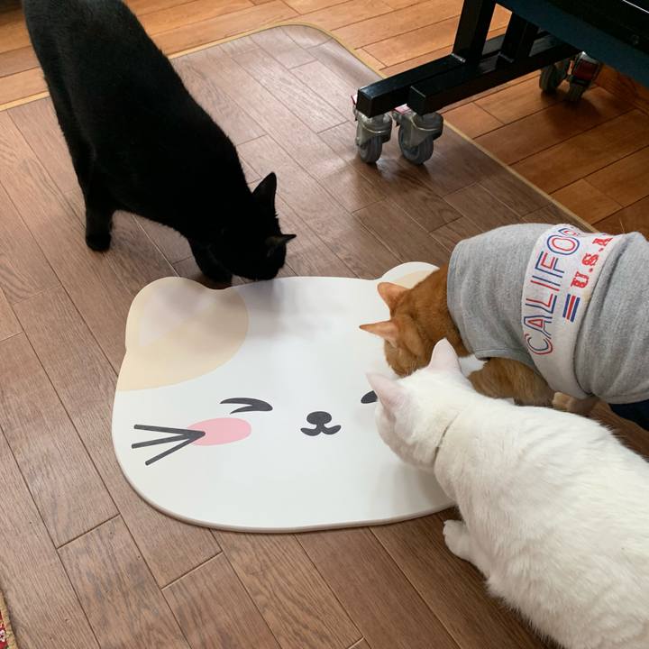 0088da6a 521b 41e8 be62 eeb48e4e691f 1626497230469