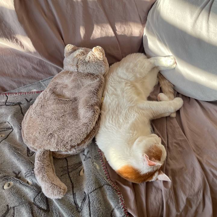 00891907 428d 421c aaf9 f4916e9fe98e 1735082368291