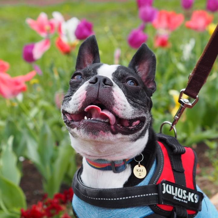 008935a8 5524 47c3 8350 323bd030d89f 1680925092351