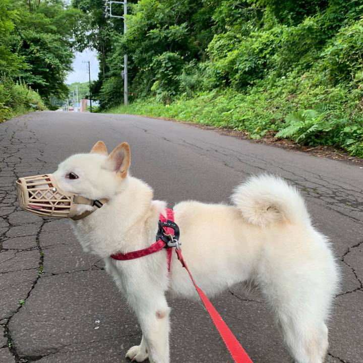 008990d4 6daa 444a 9cbd 170133552359 1563139981315