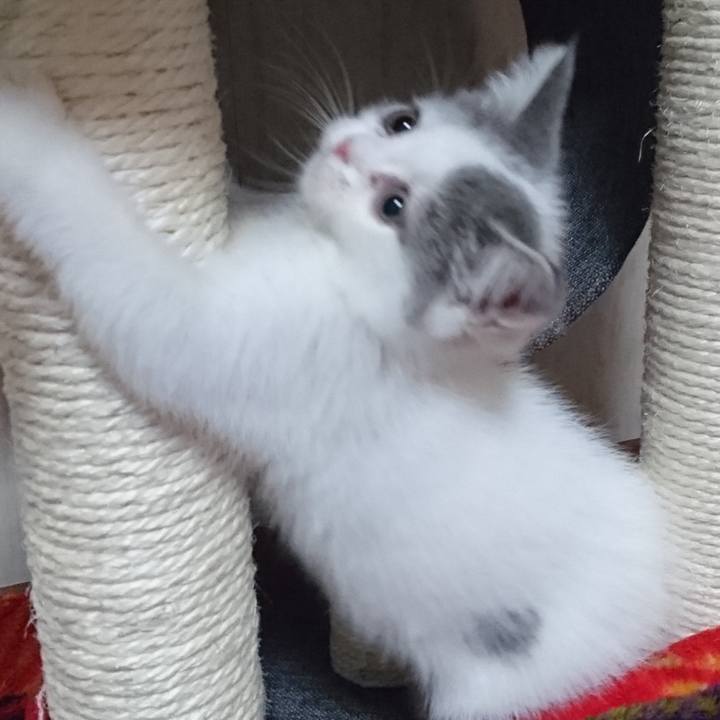 008999cb a2ed 42db adc8 59de2aded3bc 1628481919161