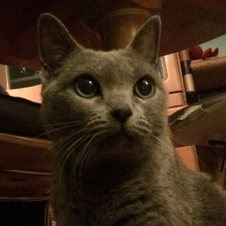 0089b66a feb4 4136 b667 671d633b57ab 1516196753305