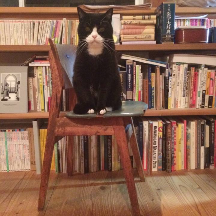 0089e3b4 f372 4f01 92b9 e32cb3eace76 1574498267681