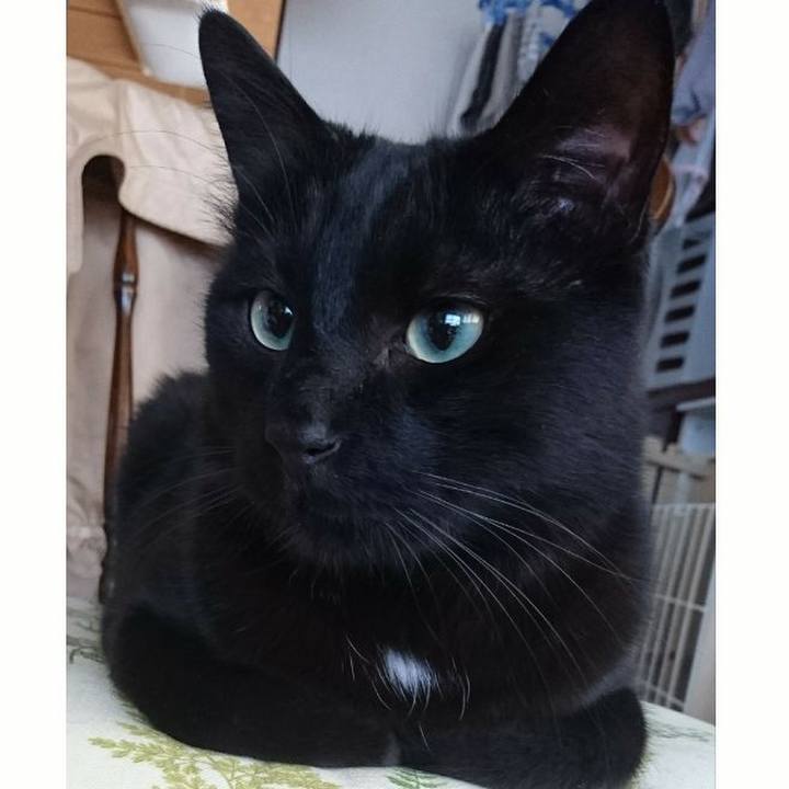 0089f24f ca3c 4181 b50b 2d52493bb715 1556423501550