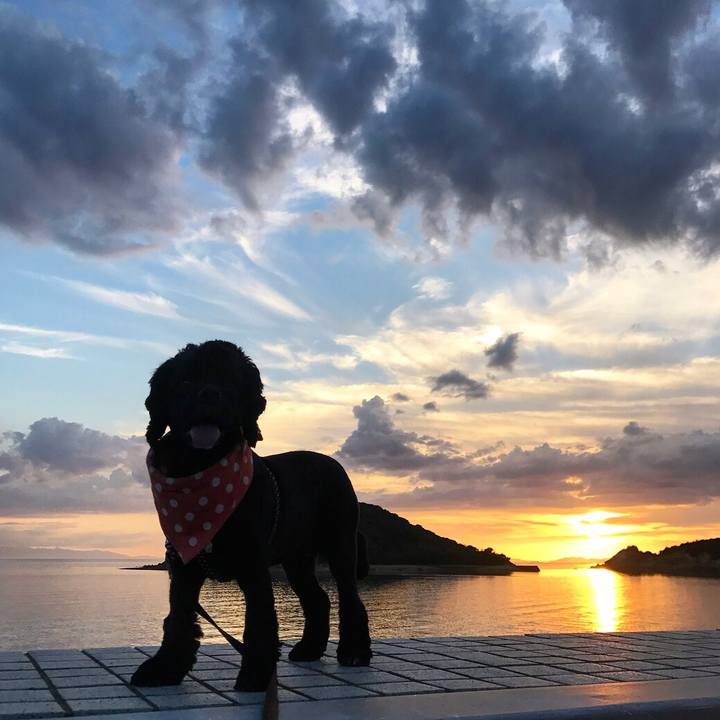 0089f6f2 7ba5 402e 9de6 e4b2aa41cc60 1536223302181