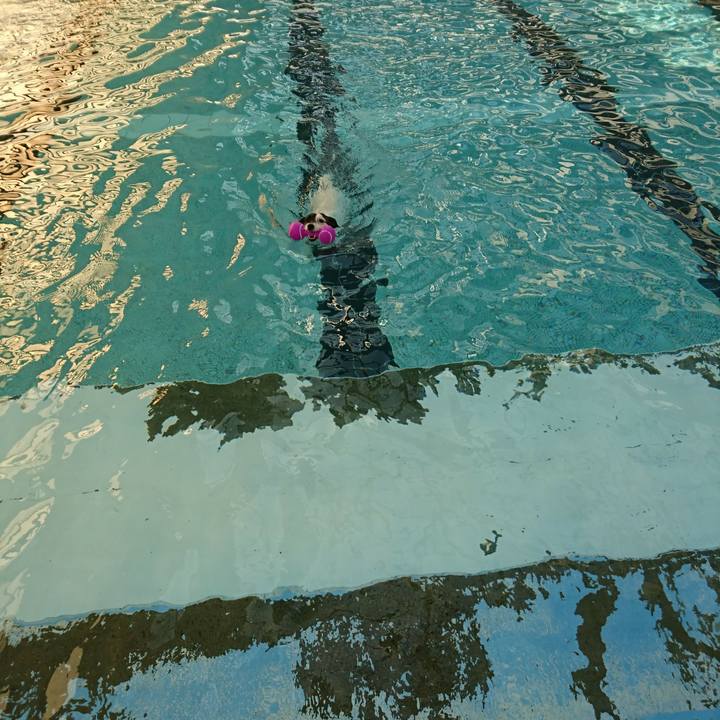 008a2bd3 1147 4436 afa3 0ed01bc68435 1509859319711