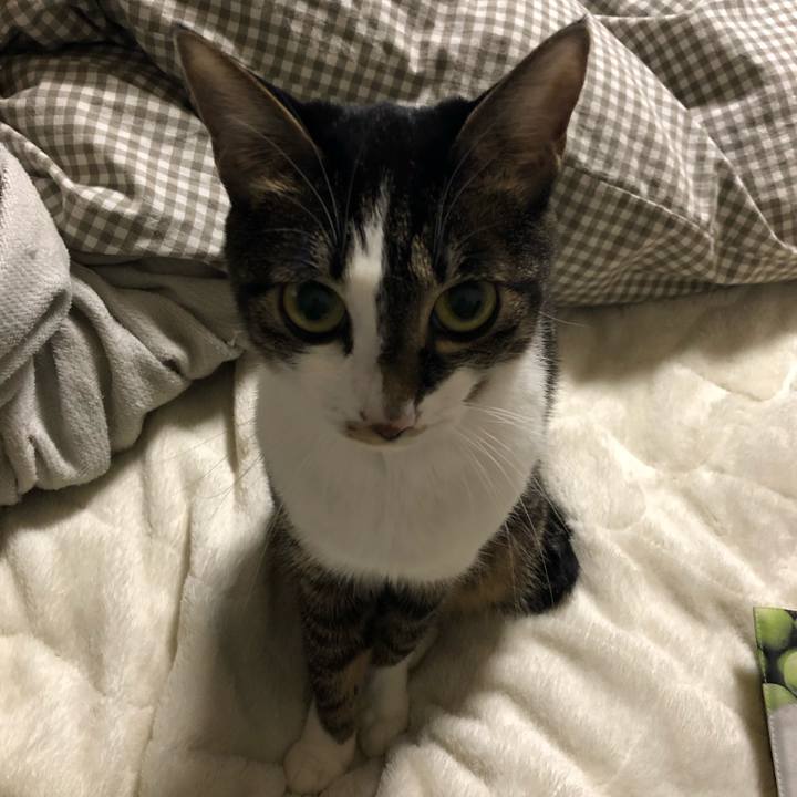 008a2d5d 6381 4078 8306 3d28cad8d303 1551960891986