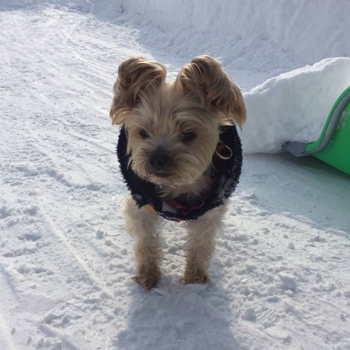 008a5321 bf18 410f aaca bd3d421d1f51 1549512449035