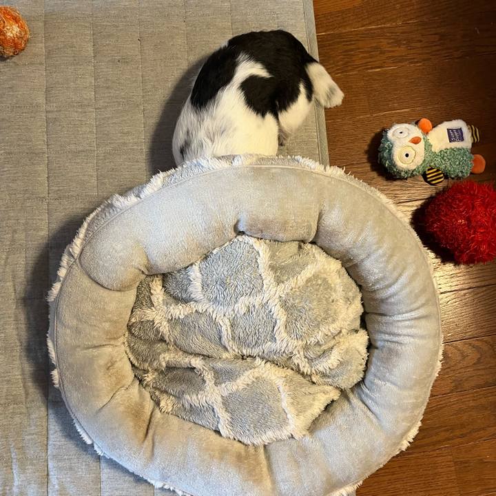 008a91c1 c129 40a3 a576 abeea73328ff 1743225880251